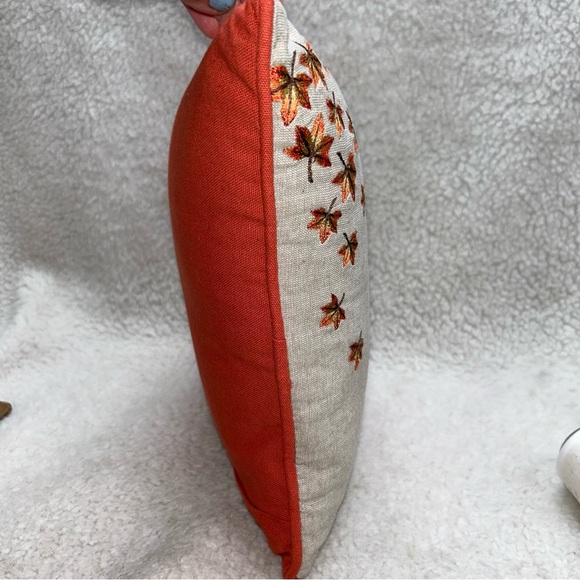 PIER 1 Harvest throw pillow kitty in pumpkin thankgiving halloween orange 12" - Picture 12 of 14